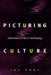Picturing Culture: Explorations of Film and Anthropology by Jay Ruby