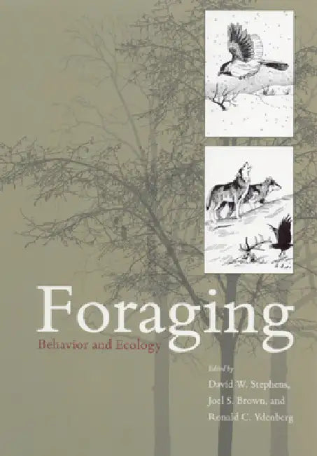 Foraging: Behavior and Ecology by David W. Stephens, Joel S. Brown, Ronald C. Ydenberg