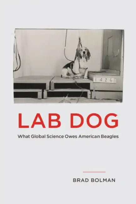 Lab Dog: What Global Science Owes American Beagles by Brad Bolman