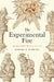 The Experimental Fire: Inventing English Alchemy, 1300-1700 by Jennifer M. Rampling