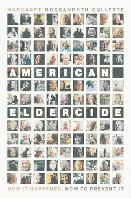 American Eldercide: How It Happened, How to Prevent It by Margaret Morganroth Gullette