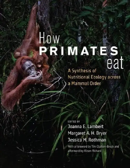 How Primates Eat: A Synthesis of Nutritional Ecology Across a Mammal Order by Joanna E. Lambert