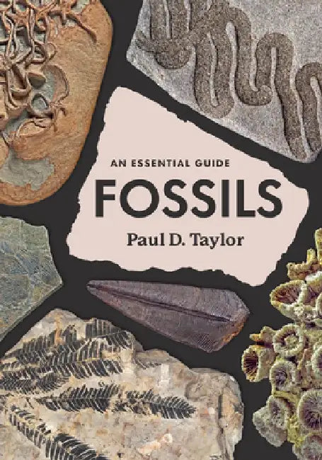 Fossils: An Essential Guide by Paul D. Taylor