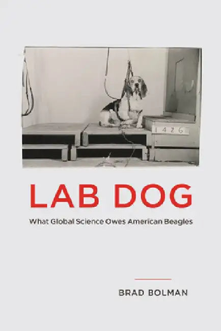 Lab Dog by Brad Bolman