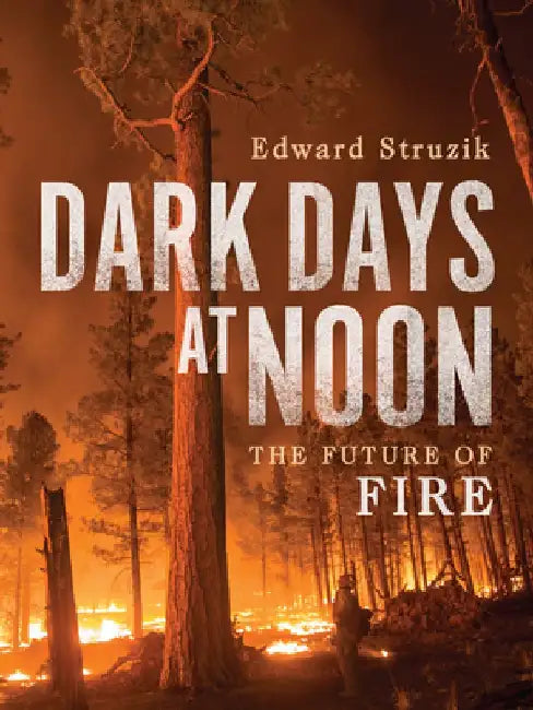Dark Days at Noon: The Future of Fire by Edward Struzik