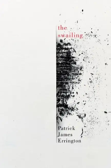 The Swailing by Patrick James Errington