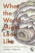 What the World Might Look Like: Decolonial Stories of Resilience and Refusal by Susie O'Brien