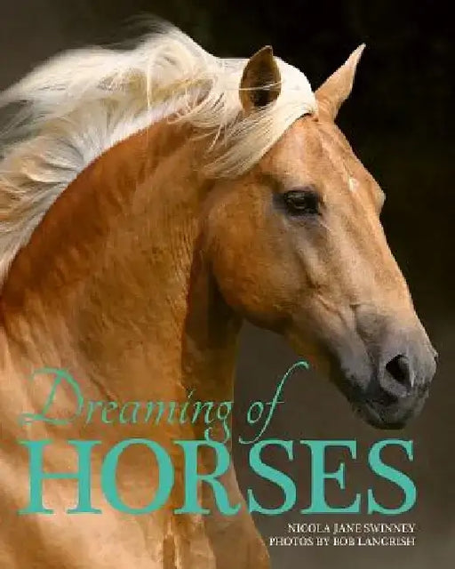 Dreaming of Horses by Nicola Jane Swinney