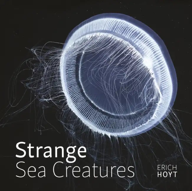 Strange Sea Creatures by Erich Hoyt