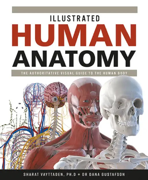 Illustrated Human Anatomy by Dana Gustafson