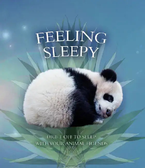 Feeling Sleepy: Drift Off to Sleep with Your Animal Friends by Andrea Pinnington