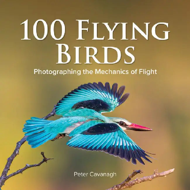 100 Flying Birds by Emanuel Swedenborg