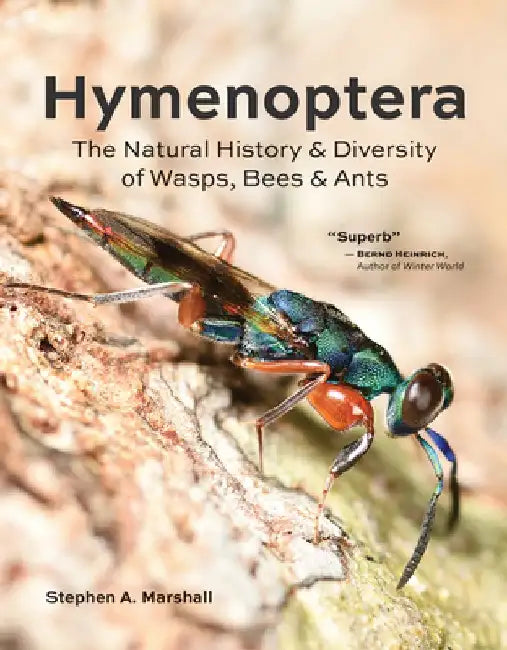 Hymenoptera: The Natural History and Diversity of Wasps, Bees and Ants by Stephen A. Marshall