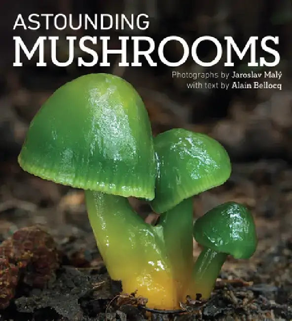 Astounding Mushrooms by Jaroslav Maly