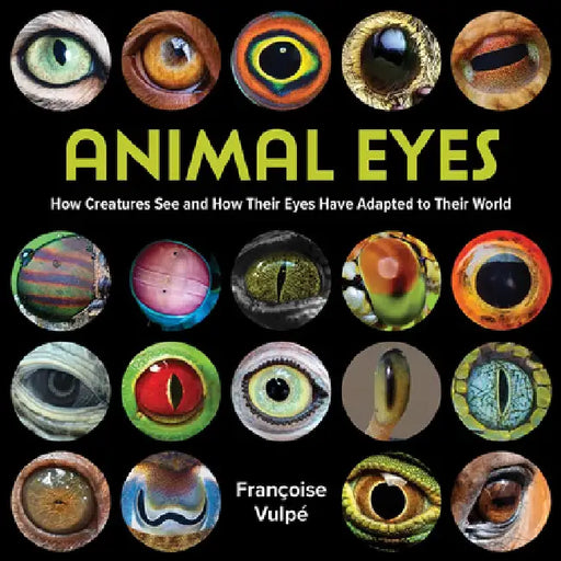 Animal Eyes: How Creatures See and How Their Eyes Have Adapted to Their World by Françoise Vulpé