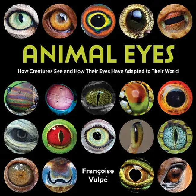 Animal Eyes: How Creatures See and How Their Eyes Have Adapted to Their World by Françoise Vulpé