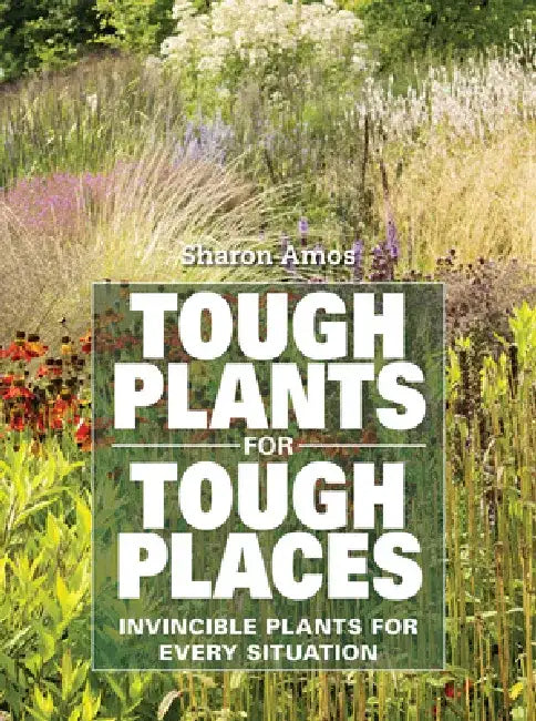 Tough Plants for Tough Places: Invincible Plants for Every Situation by Sharon Amos