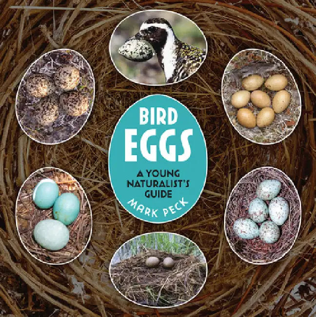 Bird Eggs: A Young Naturalist's Guide by Mark Peck