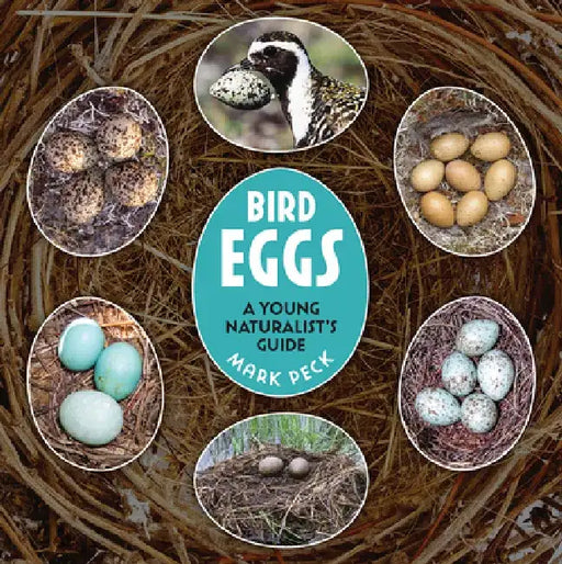 Bird Eggs: A Young Naturalist's Guide by Mark Peck