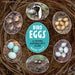 Bird Eggs: A Young Naturalist's Guide by Mark Peck