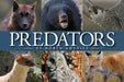 Predators of North America by Taylor, Dave