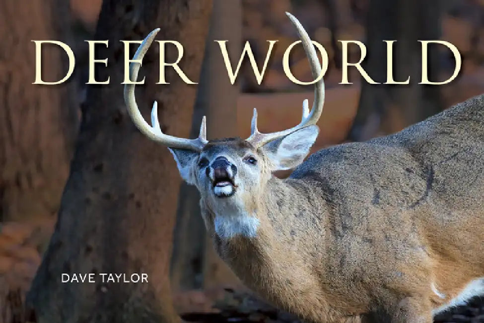 Deer World by Dave Taylor