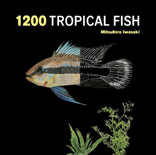 1200 Tropical Fish: An Illustrated Guide to 1200 Fish Species from Around the World by Mitsuhiro Iwasaki