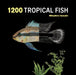 1200 Tropical Fish: An Illustrated Guide to 1200 Fish Species from Around the World by Mitsuhiro Iwasaki