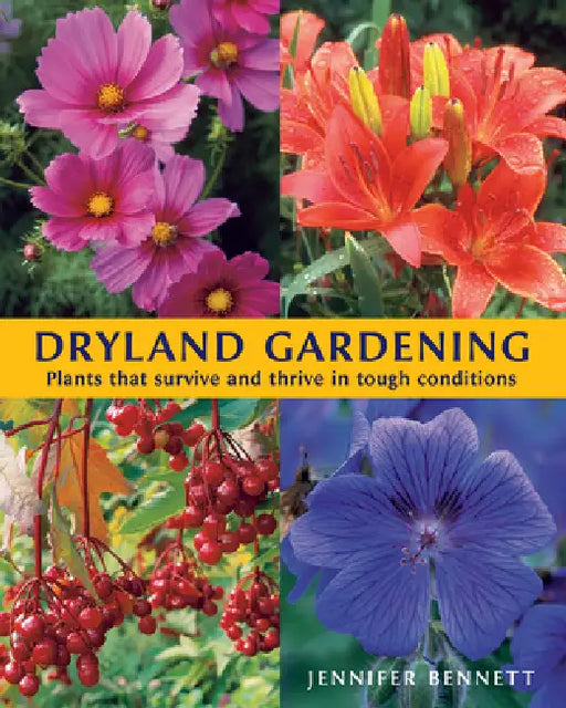 Dryland Gardening: Plants That Survive and Thrive in Tough Conditions by Jennifer Bennett