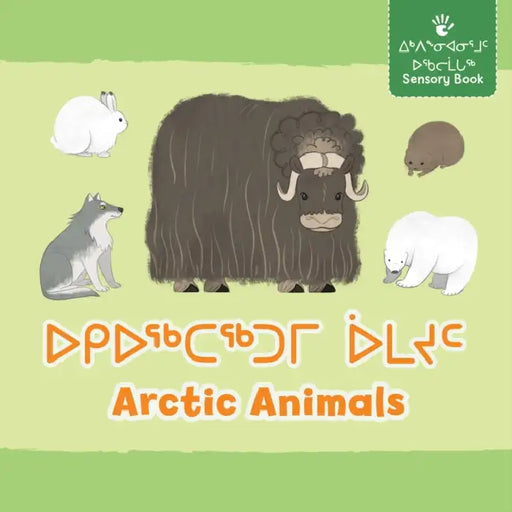 Arctic Animals by Amanda Sandland