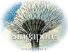 Singapore: Through My Lens by Suman Kathuria
