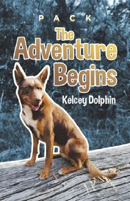 The Adventure Begins by Kelcey Dolphin