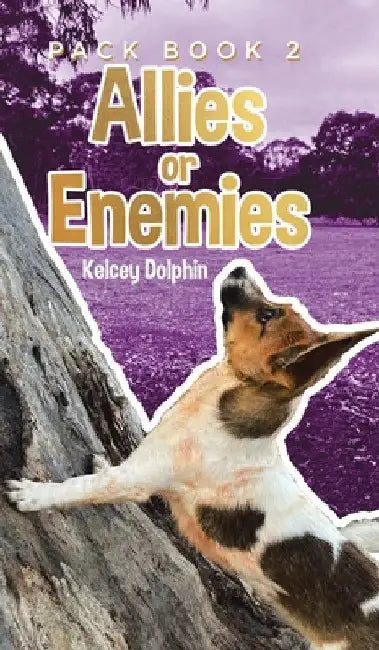 Allies or Enemies by Kelcey Dolphin
