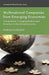 Multinational Companies from Emerging Economies: Composition, Conceptualization and Direction in the Global Economy by A. Goldstein