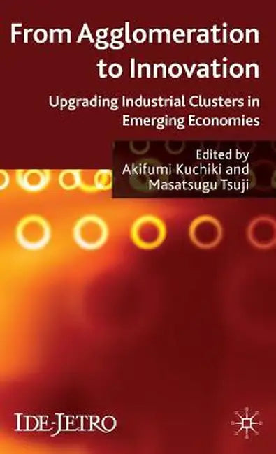 From Agglomeration to Innovation: Upgrading Industrial Clusters in Emerging Economies by A. Kuchiki