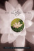 The Lotus Sutra by Burton Watson