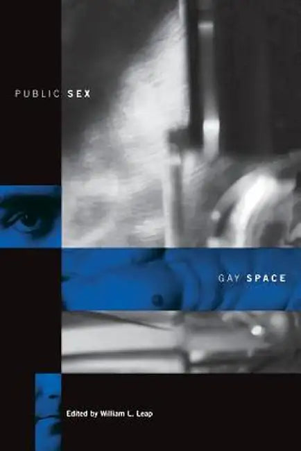 Public Sex/Gay Space by William Leap
