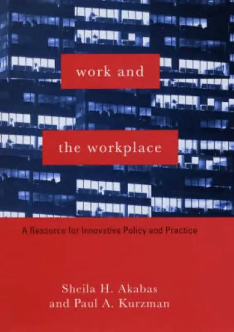 Work and the Workplace - A Resource for by Sheila H Akabas