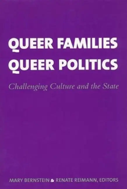 Queer Families, Queer Politics: Challenging Culture and the State by Mary Bernstein
