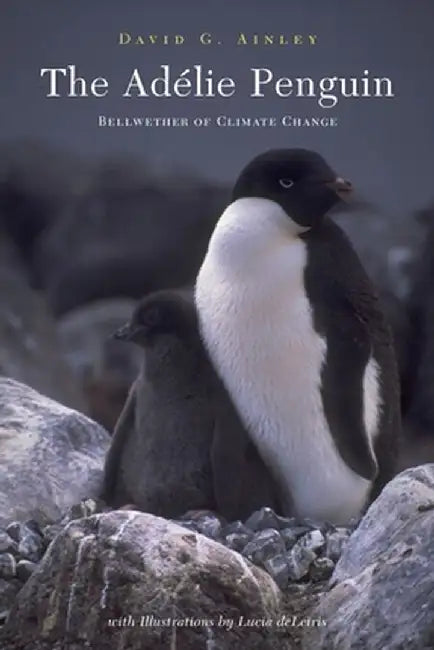 The Adélie Penguin: Bellwether of Climate Change by David G Ainley