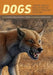 Dogs: Their Fossil Relatives and Evolutionary History by Xiaoming Wang