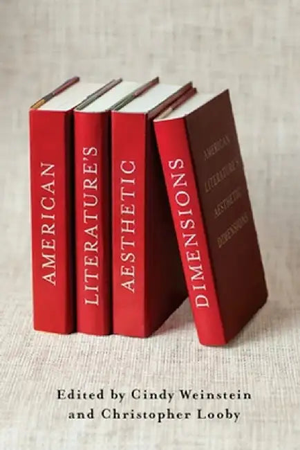 American Literature's Aesthetic Dimensions by Cindy Weinstein