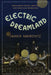 Electric Dreamland: Amusement Parks, Movies, and American Modernity by Lauren Rabinovitz