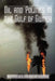 Oil and Politics in the Gulf of Guinea by Ricardo Soares De Oliveira
