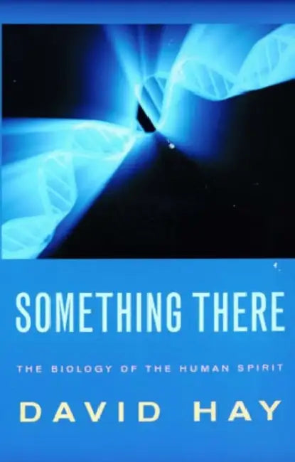 Something There by David Hay