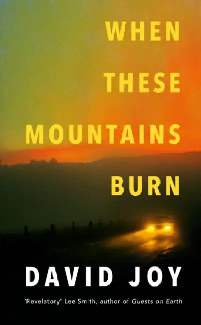 When These Mountains Burn by David Joy