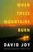 When These Mountains Burn by David Joy