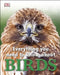 Everything You Need to Know About Birds by Zu-yan Chen