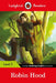 Robin Hood: Level 5 by Ladybird