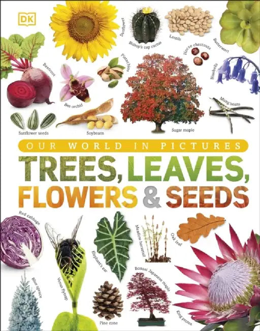 Our World in Pictures: Trees, Leaves, Flowers & Seeds by DK